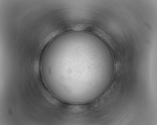 X0000114160297200910151613