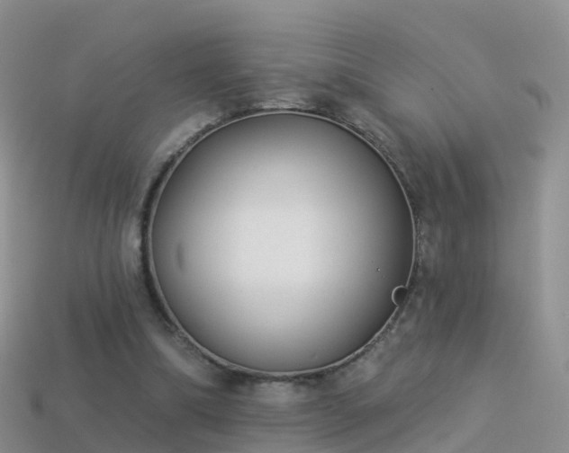 X0000114160298200910151613