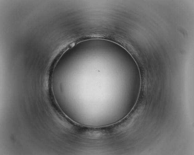 X0000114160299200910151613