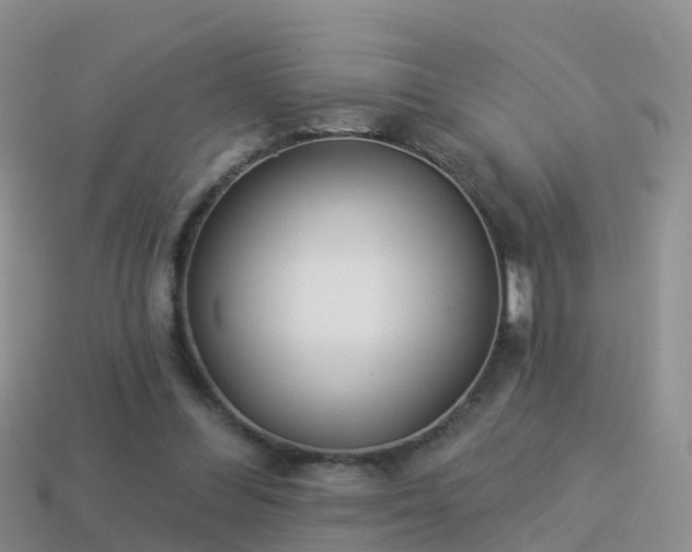 X0000114160300200910151613