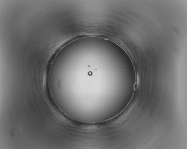 X0000114160301200910151613