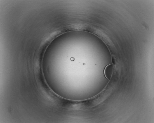 X0000114160306200910151613