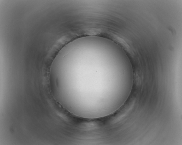 X0000114160307200910151613