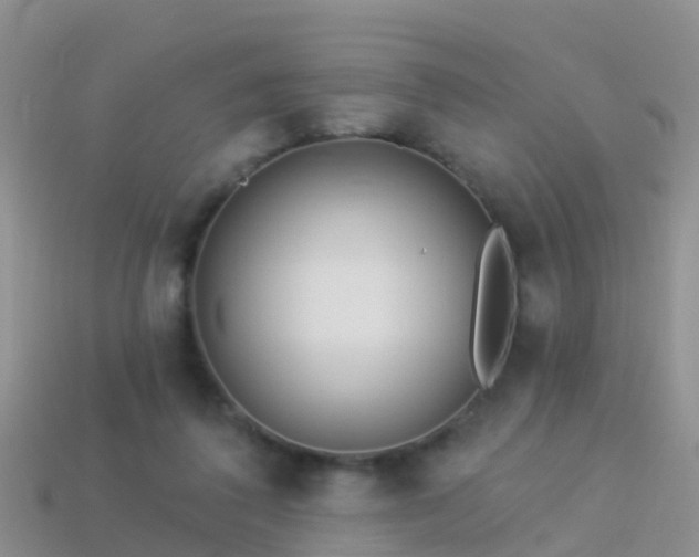 X0000114160308200910151613