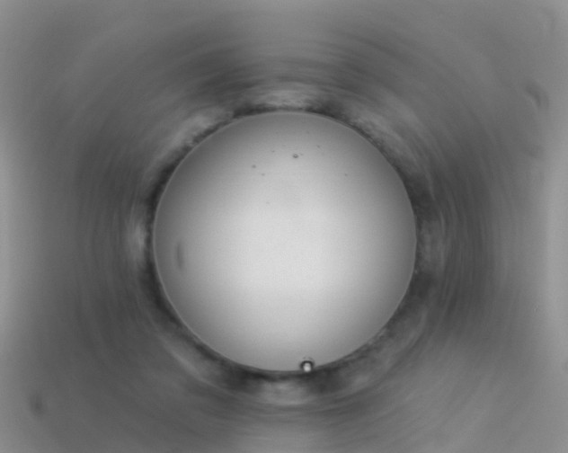 X0000114160309200910151613