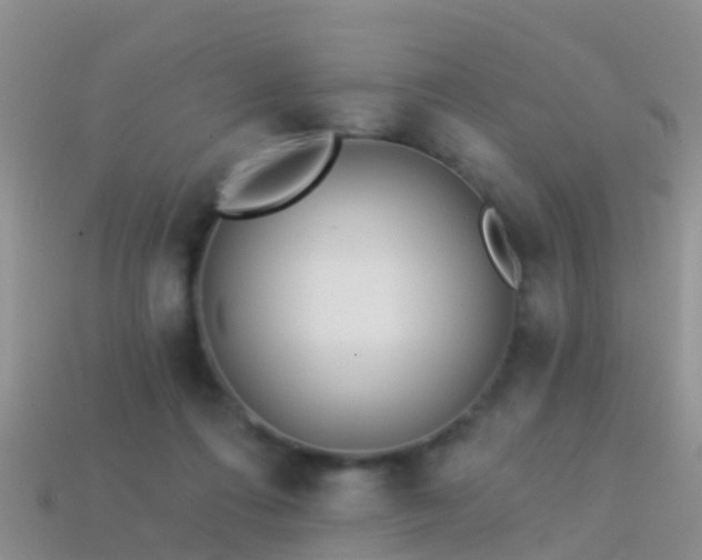 X0000114160312200910151613