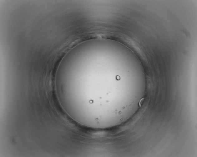 X0000114160313200910151613