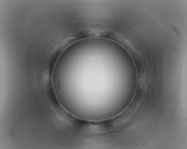 X0000114160314200910151613