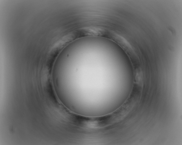 X0000114160318200910151612