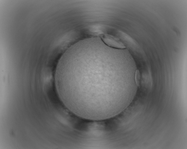 X0000114160320200910151612