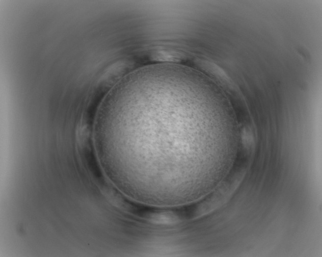 X0000114160322200910151612