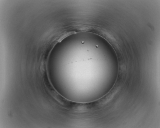 X0000114160325200910151612