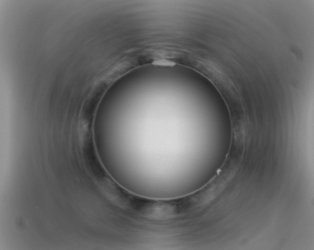 X0000114160327200910151612