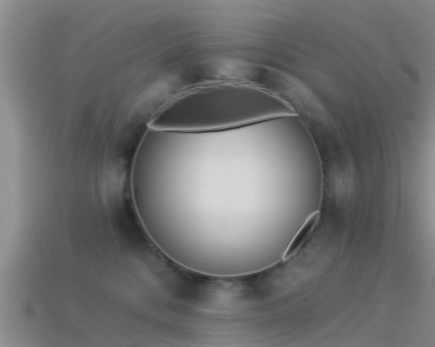 X0000114160328200910151612