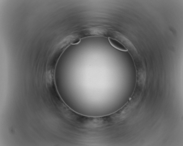 X0000114160329200910151612