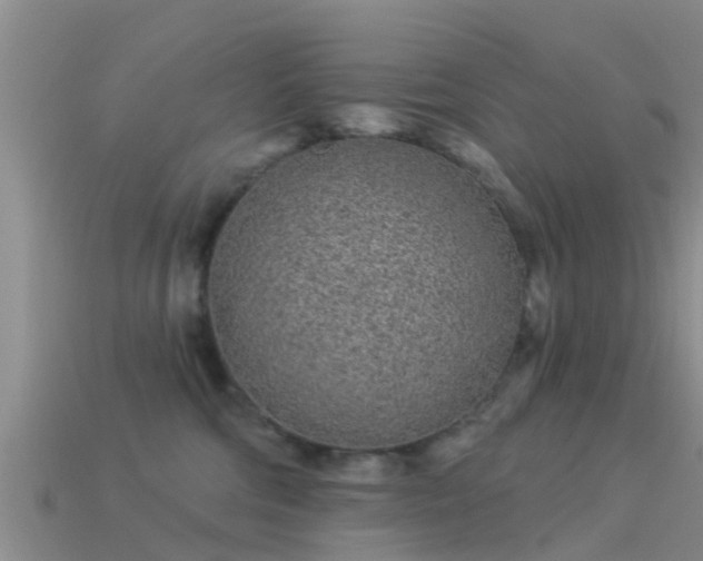 X0000114160330200910151612