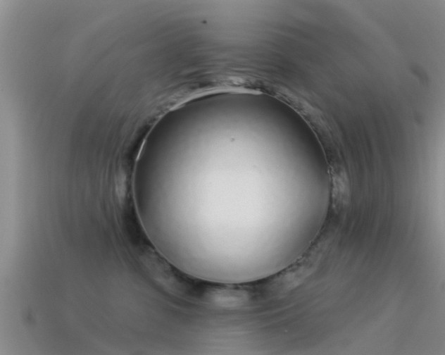 X0000114160331200910151612