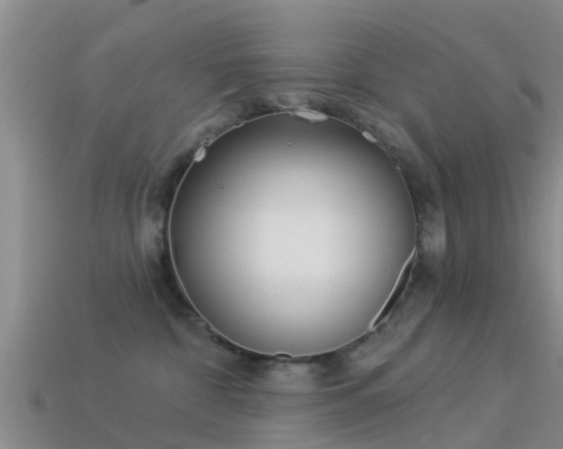 X0000114160332200910151612