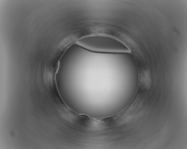 X0000114160333200910151612