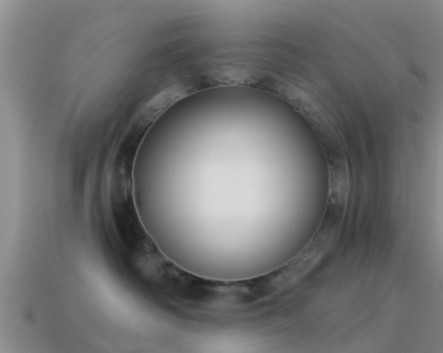 X0000114160334200910151612