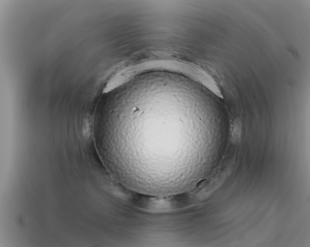 X0000114160335200910151612