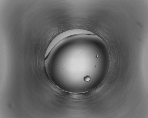 X0000114160336200910151612