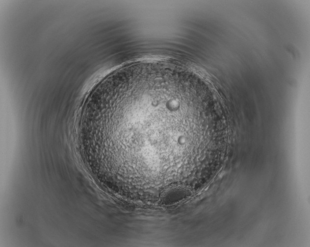 X0000114160337200910151612