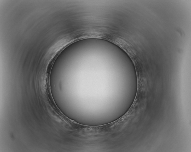 X0000114160338200910151612