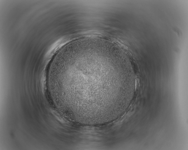 X0000114160339200910151612