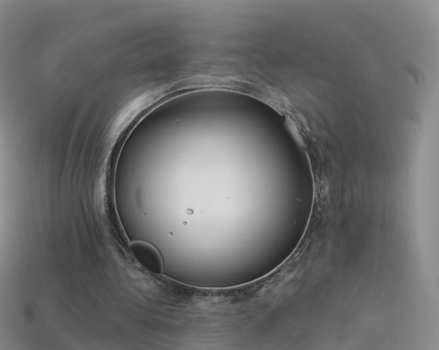 X0000114160340200910151612