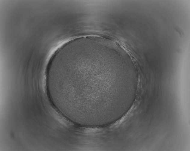 X0000114160342200910151612