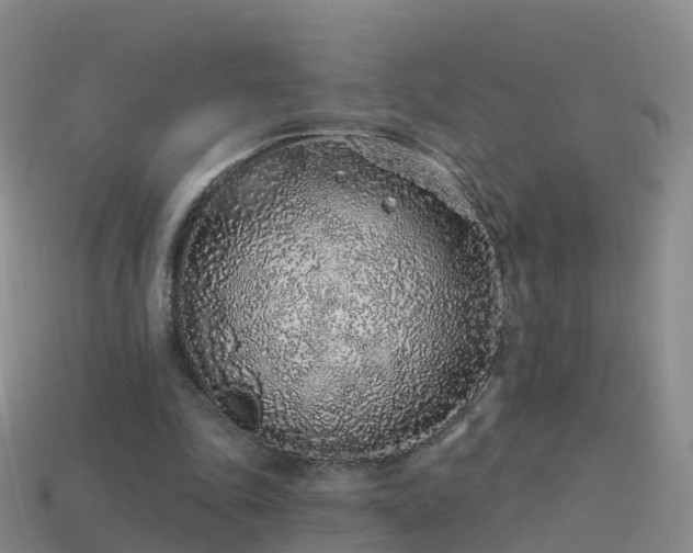 X0000114160343200910151612