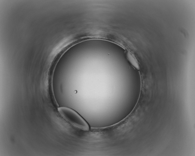 X0000114160344200910151612