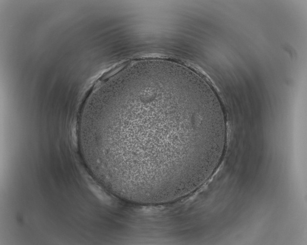 X0000114160345200910151612