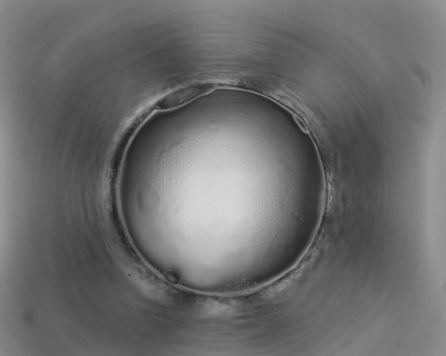 X0000114160346200910151612