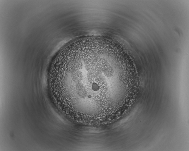 X0000114160347200910151612