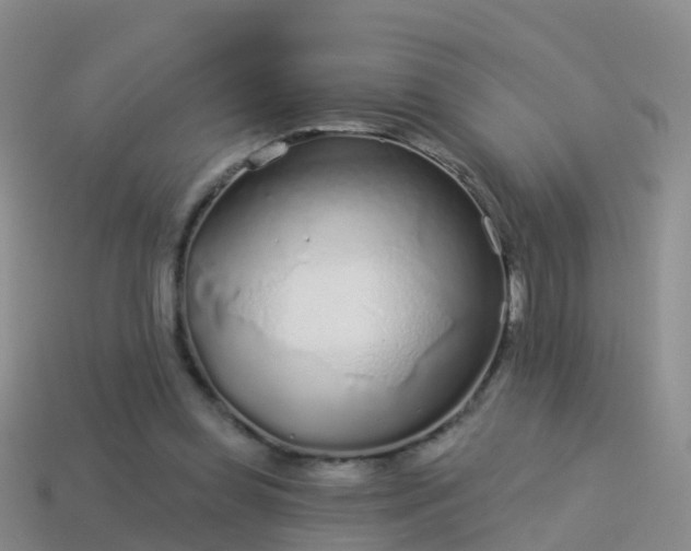 X0000114160349200910151612