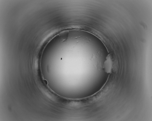 X0000114160350200910151612