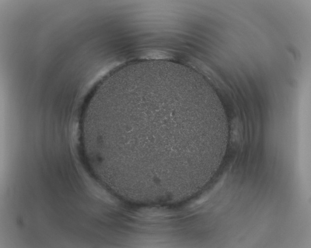 X0000114160351200910151612