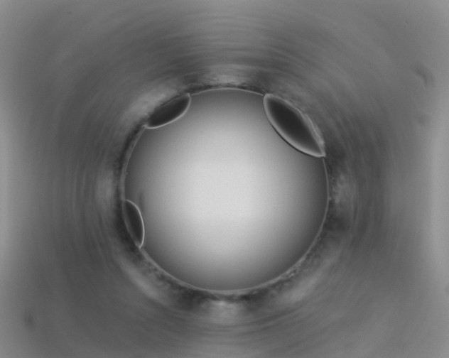 X0000114160352200910151612