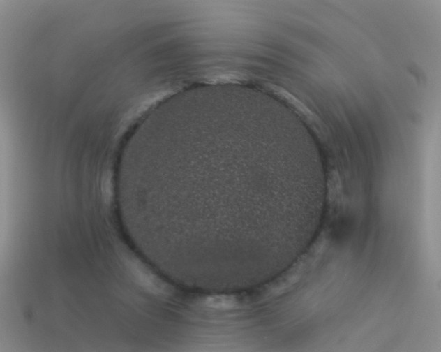 X0000114160353200910151612