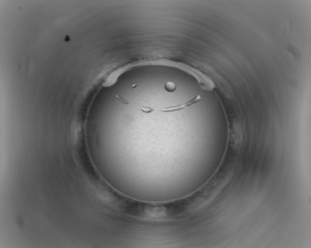 X0000114160355200910151612