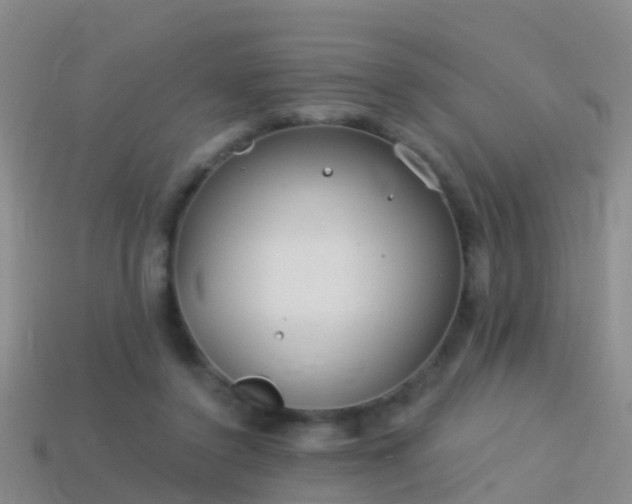 X0000114160356200910151612