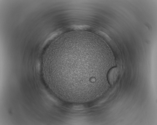 X0000114160357200910151612