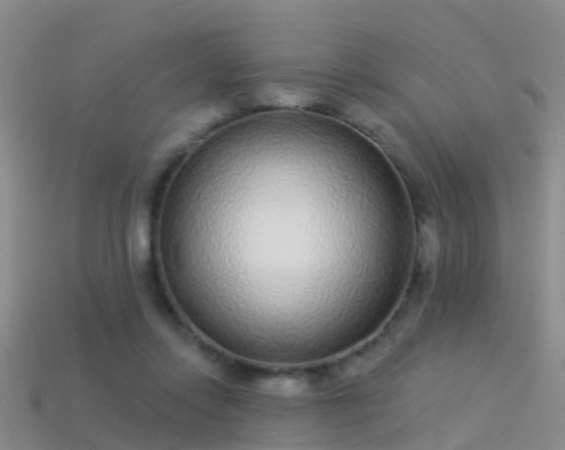 X0000114160358200910151612