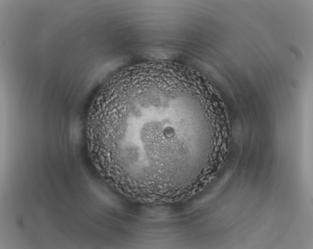 X0000114160359200910151612