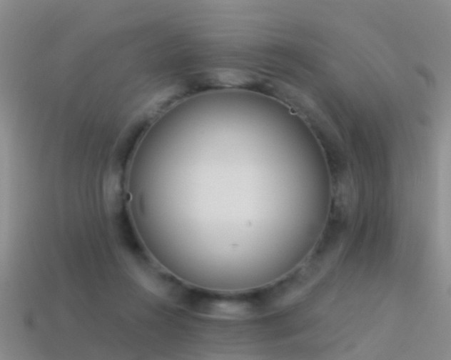 X0000114160360200910151612