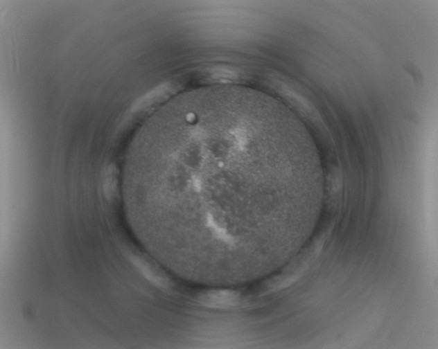 X0000114160361200910151612