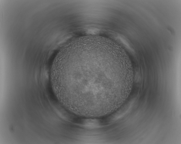 X0000114160363200910151612