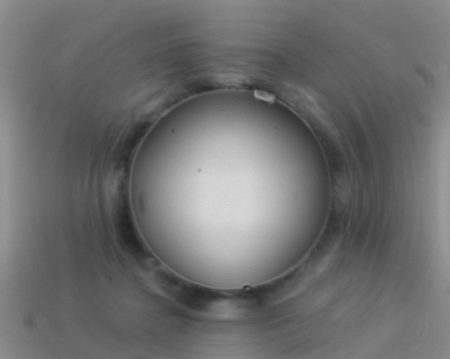 X0000114160364200910151612